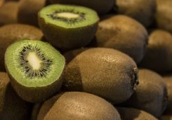 uprawa kiwi