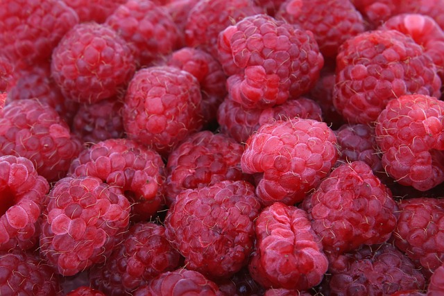 maliny liofilizowane