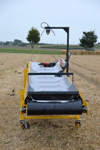 Sortownik do ziemniaków