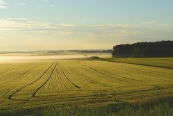 Gospodarstwo rolne - pytania