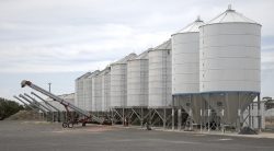 Silos zbożowy 50 ton cena