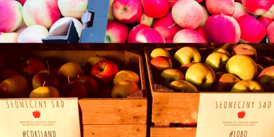 Jabłka na sprzedaż w ilościach detalicznych i hurtowych. Aktualnie