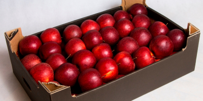 Kupię hurtowe ilości jabłka Jonaprince, Red Jonaprince lub Czarny