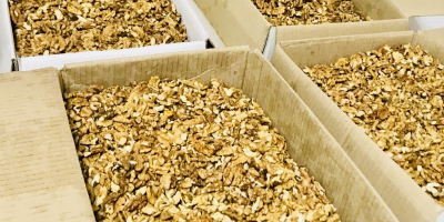 Orzech włoski 30% połówek,jasne bez prochu Opakowanie:pukelka 10 kg