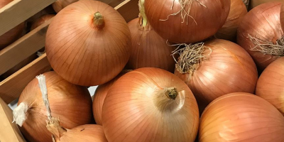 we sell high quality Caliber Onion (Tel, whatsapp: +