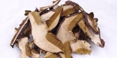 Sprzedam grzyby suszone,pakowane po 25 gramow,po 50 gramow,po 100