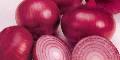We are and direct sellers , exporters of agric,