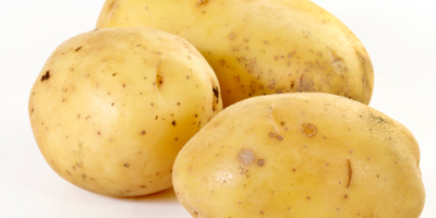 i will sell fresh potatoes (whats:app +4565744605) caliber :50+