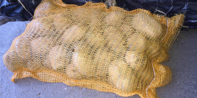 i will sell fresh potatoes (whats:app +4565744605) caliber :50+