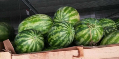 i will sell fresh water melon whatsapp:+4565744605 please contact