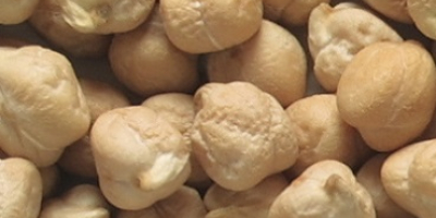 i will sell Grade A chickpeas from Finland (whatsapp:+358