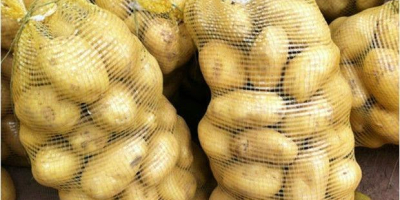 Stare ziemniaki 15kg, 25kg, cena bez VAT zawiera dostawę