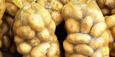 Ziemniak Cebula Uzbekistan Pochodzenie Kapusta gatunku Jesteśmy zwolnionymi produktami