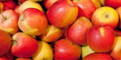 Świeże jabłko dostępne i wysokiej jakości dowództwo z dowolnej