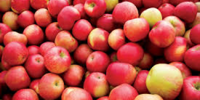 Świeże jabłko dostępne i wysokiej jakości dowództwo z dowolnej