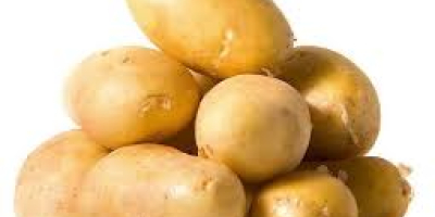 oferujemy świeże ziemniaki holenderskie   rozmiar 100g, 150g, 200g,