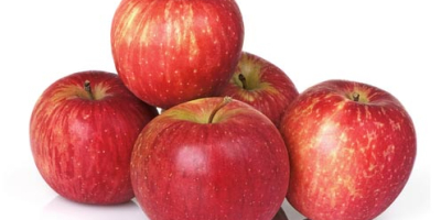 firma w Europie kupi organiczne jabłka o masie około