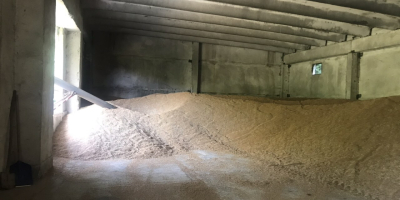 Prodavam Hlebna Odmiana pszeniczna Sofu 180 ton Meister-60 ton