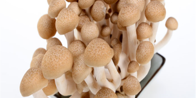 Hypsizygus Marmoreus Mushrooms Package: 150g*40/ctn, According to the customer