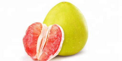 Jesteśmy bezpośrednim producentem pomelo, mamy dwie bazy do sadzenia