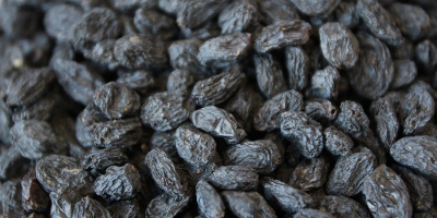 RAISINS Black (Sayaki)