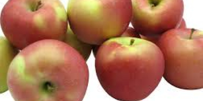 Fuji apples are medium to large. The thick skin