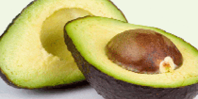 Fresh Avocado Hardcore Corporation is the reliable Exporter and