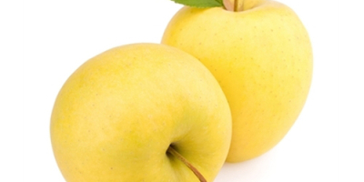 Golden Apple 100% fresh Sourced from Turkey Benefits: As