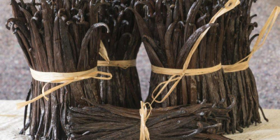 Top quality black vanilla beans of the world, famous