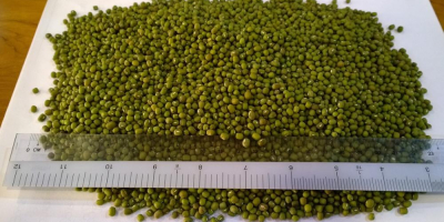 Product Type: Vigna Beans Type: Mung Beans Style: Dried