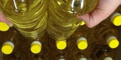 100% Pure Sunflower Oil for Sale Type: Sunflower Oil