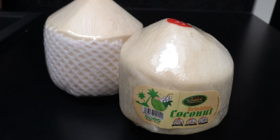 Wietnamski Młody kokos, najsłodszy, najbardziej odżywczy kokosowy typ Handel