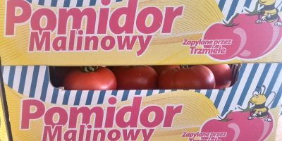 Witam do sprzedania pomidor malinowy 1 kategoria BBB. BB.