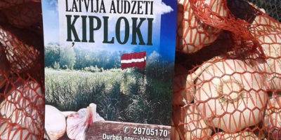 Serwuje suszony czosnek 3,50 € / kg,