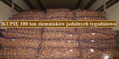 Kupię 100 ton ziemniaków jadalnych tygodniowo; Moje oczekiwania: przeciętna