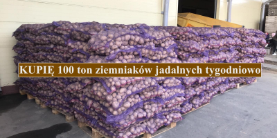 Kupię 100 ton ziemniaków jadalnych tygodniowo; Moje oczekiwania: przeciętna