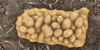 Pret: negociabil in functie de cantitatea dorita. Producent lokalny