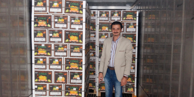Możliwość dostawy: 16000 kartonów / kartonów dziennie Opakowanie i