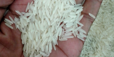 1121 Sella Basmati Ryż długoziarnisty Premium Opakowanie: 10 kg