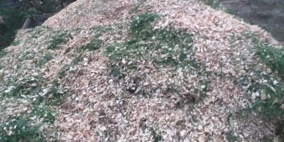 Zrębki leśne pod borówkę z dostawą. Zrębki bardzo ładnie