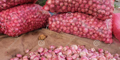 Cebula czerwona klasy A, wielkość opakowania: 50 kg, wielkość