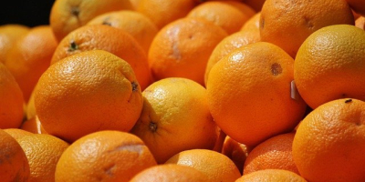 Sprzedam pomarańcze ilości hurtowe. Kraj pochodzenia: Hiszpania, Maroko, Grecja.