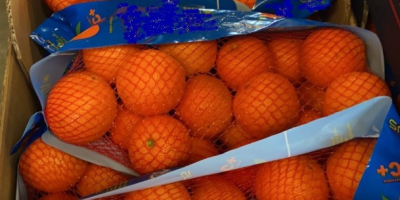 Rozmiar 2; 3 Cena 0,49 Euro / kg Rozmiar