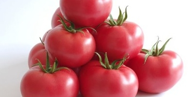 Piękny pomidor z Grecji prosto z Salonik cena w