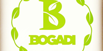 Bogadi llc