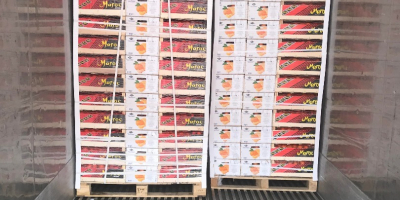 „AGRUMCO to firma rodzinna, zlokalizowana w mieście Beni Mellal