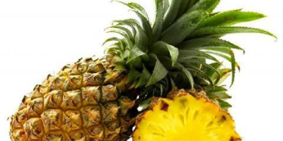 Wartość przedmiotu Styl Typ świeży Ananas Rodzaj produktu Owoce