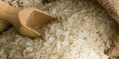 Poniżej znajdują się dostępne u nas odmiany ryżu: -