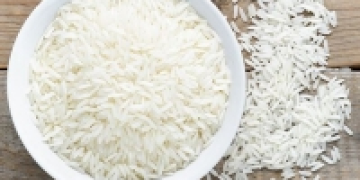 Ryż jaśminowy to pachnący ryż o krótkim czasie wzrostu