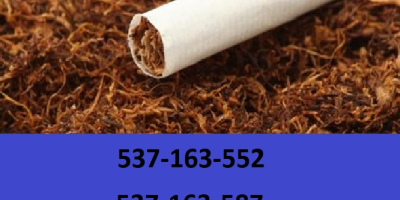 Tytoń papierosowy najlepszej jakości! Ekstra gratisy i promocje dla